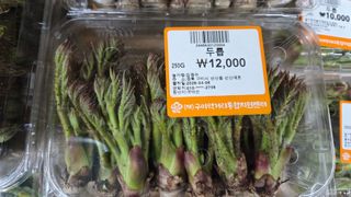 제키님의 두릅 · 영농일지 작성글 사진