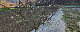 강호지인님의 작성글 사진