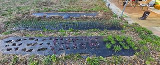 강호지인님의 사과 · 영농일지 작성글 사진