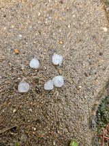 윤장원님의 작성글 사진