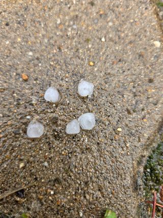 윤장원님의 기타작물 · 영농일지 작성글 사진