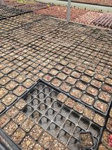 팜모닝 기타작물·영농일지 게시글 이미지