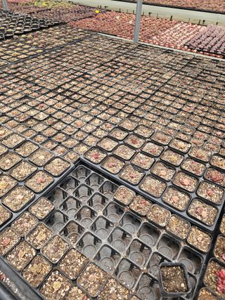 신상섭님의 기타작물 · 영농일지 작성글 사진