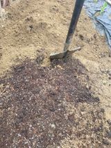 알렉산더님의 작성글 사진