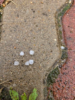 윤장원님의 기타작물 · 영농일지 작성글 사진