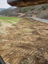 두릅나무9056님의 작성글 사진