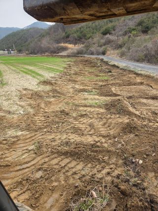 두릅나무9056님의 콩 · 영농일지 작성글 사진