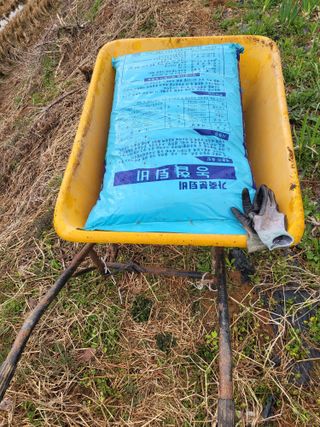 최병우님의 벼 · 영농일지 작성글 사진