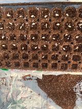 팜모닝 오이·영농일지 게시글 이미지