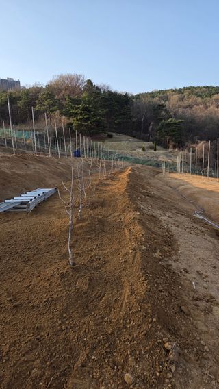 김기득 님의 기타작물 · 영농일지 작성글 사진