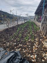 김용대님의 작성글 사진