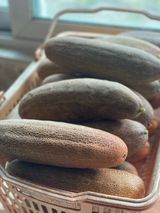 별@노래농장(정씨)님의 작성글 사진