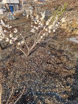 김용대님의 작성글 사진