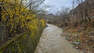 대봉농원 이경화님의 기타작물 · 영농일지 작성글 사진