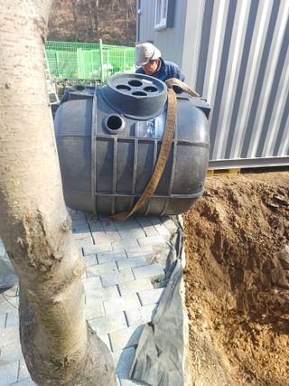 바람소리님의 기타작물 · 영농일지 작성글 사진