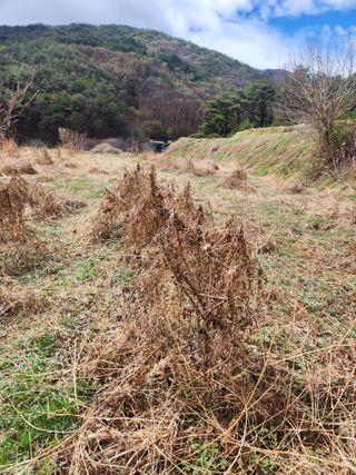 표고버섯3641님의 기타작물 · 영농일지 작성글 사진