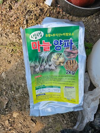 청산거사님의 양파 · 영농일지 작성글 사진