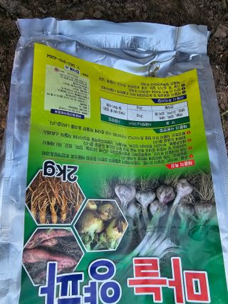 청산거사님의 양파 · 영농일지 작성글 사진