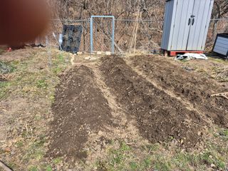 이준영님의 기타작물 · 영농일지 작성글 사진