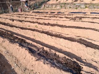 한건택님의 기타작물 · 영농일지 작성글 사진