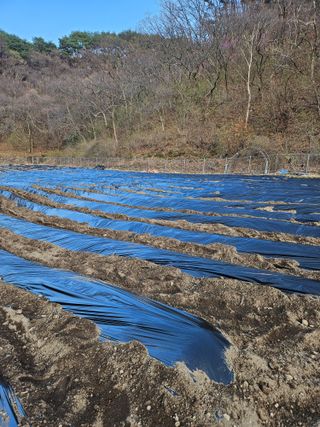 감7768님의 기타작물 · 영농일지 작성글 사진