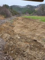 두릅나무9056님의 작성글 사진