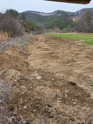 두릅나무9056님의 콩 · 영농일지 작성글 사진