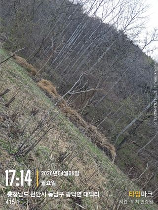 매실21434님의 작성글 사진