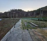 강호지인님의 작성글 사진