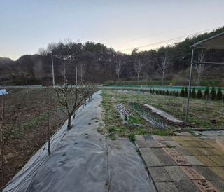 강호지인님의 사과 · 영농일지 작성글 사진