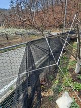 이한재님의 작성글 사진