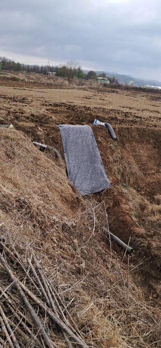 이복길님의 기타작물 · 영농일지 작성글 사진