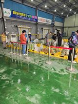 고사리.밤.육쪽마늘님의 작성글 사진