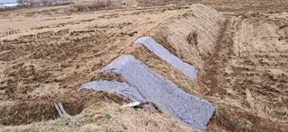 이복길님의 기타작물 · 영농일지 작성글 사진