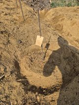 써니님의 작성글 사진