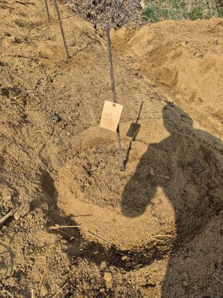 써니님의 기타작물 · 영농일지 작성글 사진