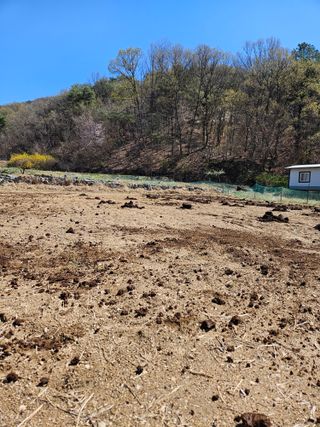 드라곤해드님의 기타작물 · 영농일지 작성글 사진