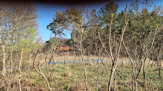 수기님의 두릅 · 영농일지 작성글 사진