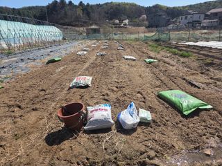 김윤회님의 고구마 · 영농일지 작성글 사진