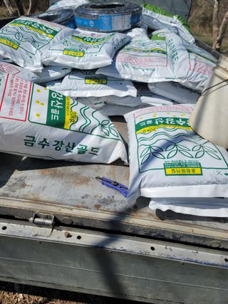 서성환님의 감 · 영농일지 작성글 사진