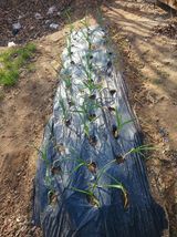 도토리아줌마님의 작성글 사진