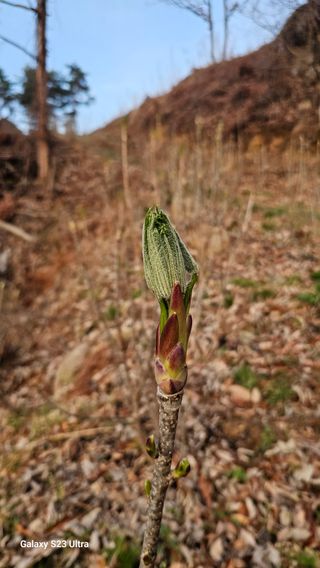 염봉섭님의 기타작물 · 영농일지 작성글 사진