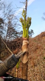 팜모닝 기타작물·영농일지 게시글 이미지