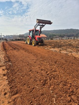 김종옥님의 참깨 · 영농일지 작성글 사진