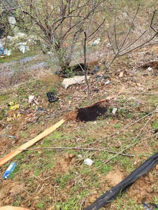 최병우님의 벼 · 영농일지 작성글 사진