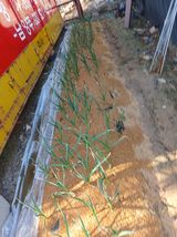 도토리아줌마님의 작성글 사진