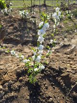 김영순님의 작성글 사진