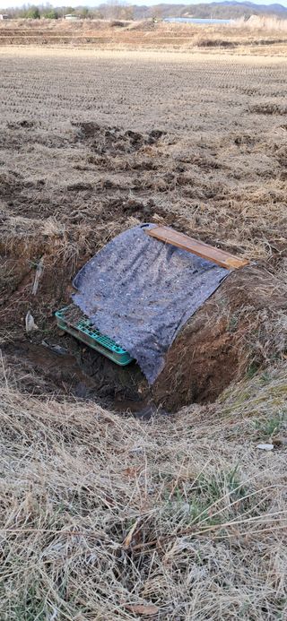 이복길님의 기타작물 · 영농일지 작성글 사진