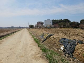 이미옥님의 벼 · 영농일지 작성글 사진