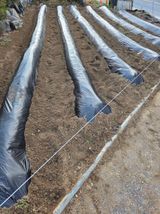 김연숙님의 작성글 사진